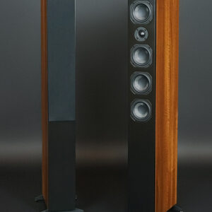 Scansonic L-12 Floor Stander